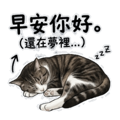 優雅的布蕾