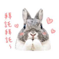 咖咖&亮亮日常