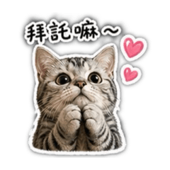小莯日常