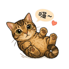 咪咪ㄉ日常