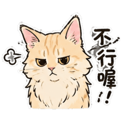 二哈呆貓