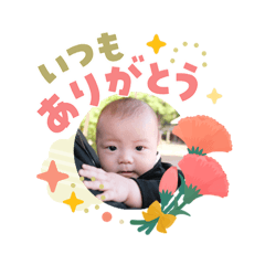 katsura_20260513202730