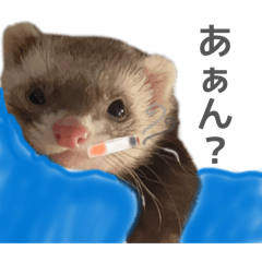 moehori_20260513203039
