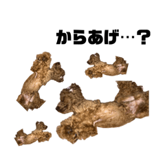bee_20260513202509