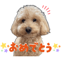 miyaryuu_20260513203322