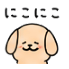 pon_20260513202324
