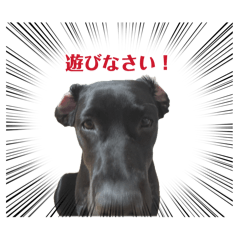 AKIRA_20260513203340