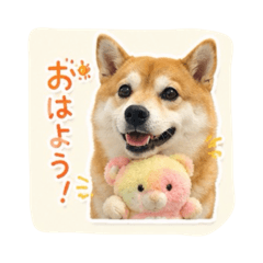 kansei_20260513203742