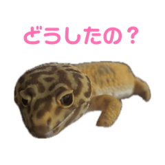 mitsuka_20260513215025