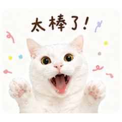 鮮鮮日常語錄
