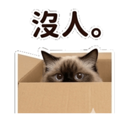 臘腸小啾&布偶ㄧㄧ