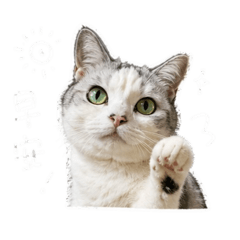 Mo碰