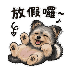 頑皮扣啦