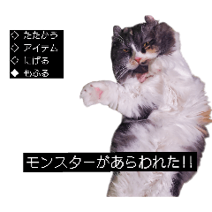 chi-kota_20260503194227