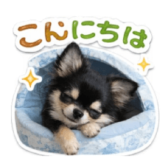 kurobe-_20260513202735