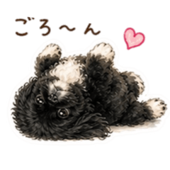 Coco.blanc_20260513205707