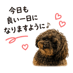 tapioca_20260513210108