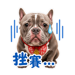 胖妞_01bi