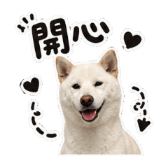 謝咪嚕の日常貼圖