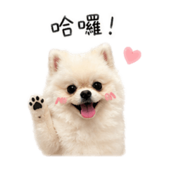 元寶 日常篇♡