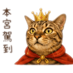 志王令是我。我爸姓林