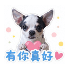 1帥寶