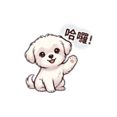 貴貴最愛你