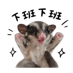 Nu Dou Nai