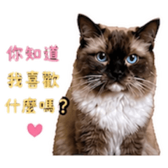 星星土味情話