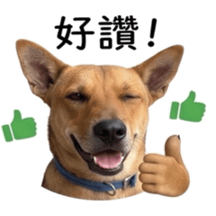 黑糖本糖
