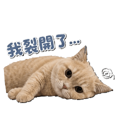 寒吉弟弟日常