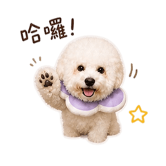 白白小麻糬