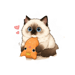 貓貓卡布