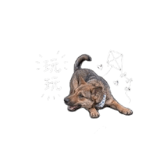 喜德的可愛生活