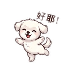 貴貴關心你