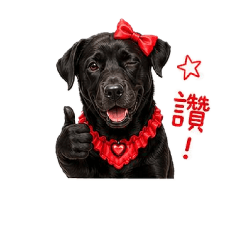 問泥妹生活語錄第一版