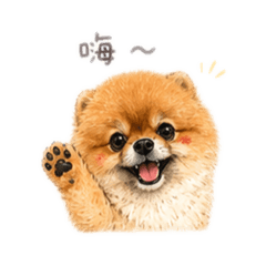 Leo狗的日常