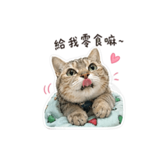 阿咚咚
