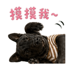 郭黑熊