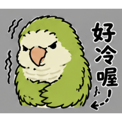 和尚鸚鵡(抹茶）生活對話02