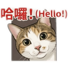 哈比哈比-哈比篇