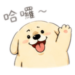 You小狗貼圖