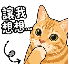小橘Q
