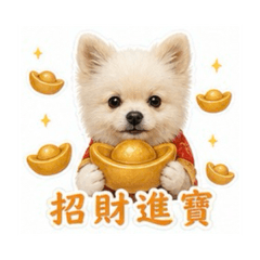 1可愛狗狗