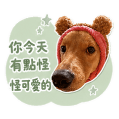 可愛的蔡芬妮