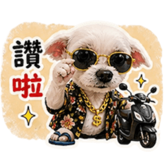 達布偽台客
