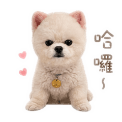 DiDi 寶♡