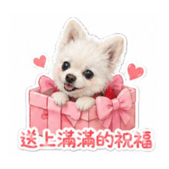 2可愛狗狗