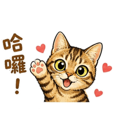 樂樂貓篇