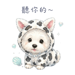 汪！今天也被西莎治癒了